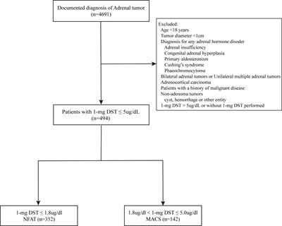Association between contralateral adrenal and hypothalamus-pituitary-adrenal axis in benign adrenocortical tumors